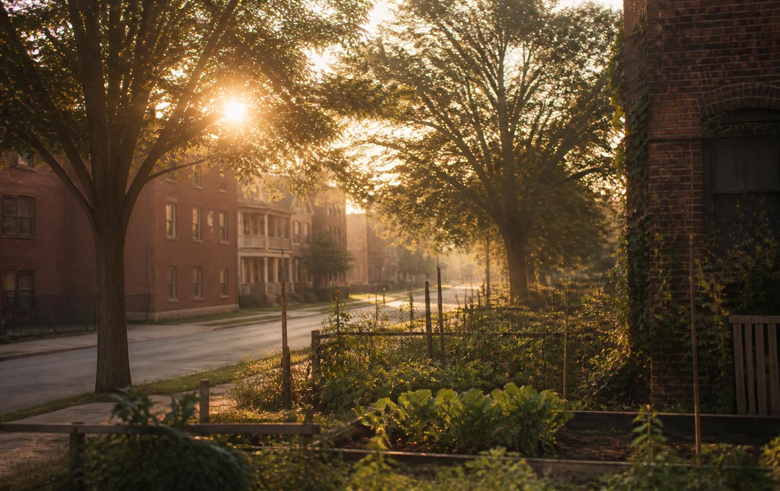 Golden morning light over a Detroit neighborhood street and community garden